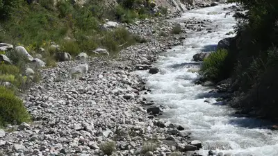 , фото - Новости Zakon.kz от 10.03.2024 11:05