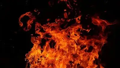 Столярный цех полностью сгорел в Алматинской области, фото - Новости Zakon.kz от 10.03.2024 21:46