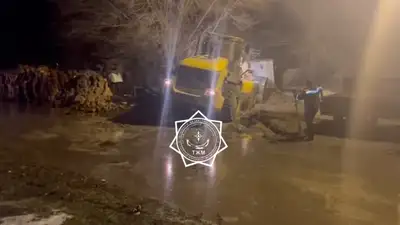 Талые воды затопили дома в селе Алматинской области 