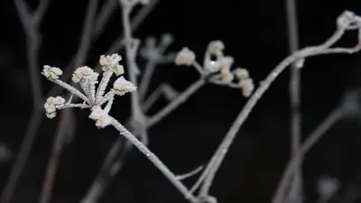 Похолодание до -20°С обещают казахстанцам, фото - Новости Zakon.kz от 11.03.2024 11:38