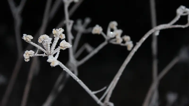 20-градусные морозы возвращаются в Казахстан