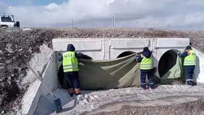 паводки, фото - Новости Zakon.kz от 11.03.2024 18:38