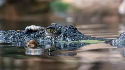 нападение в США, фото - Новости Zakon.kz от 11.03.2024 21:24