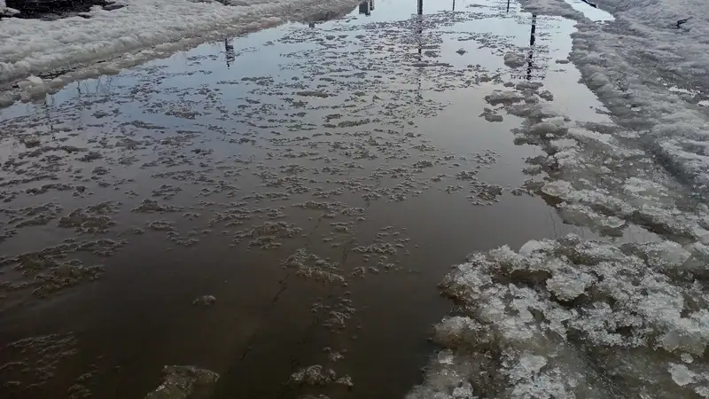 Талые воды в Семее, паводки в Абайской области, фото - Новости Zakon.kz от 11.03.2024 16:17