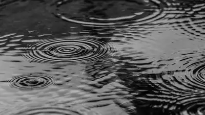 Обильные дожди затопили дворовые участки в Туркестанской области, фото - Новости Zakon.kz от 12.03.2024 21:08