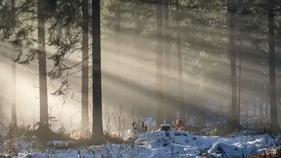 Россиянка насмерть замерзла в Щучинске, фото - Новости Zakon.kz от 12.03.2024 09:17