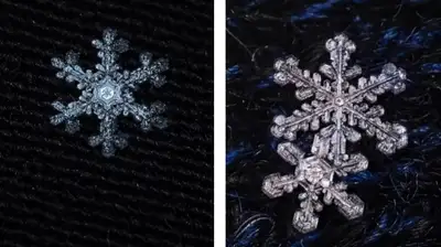 алматинский фотограф опубликовал кадры снежинок, фото - Новости Zakon.kz от 13.03.2024 22:06