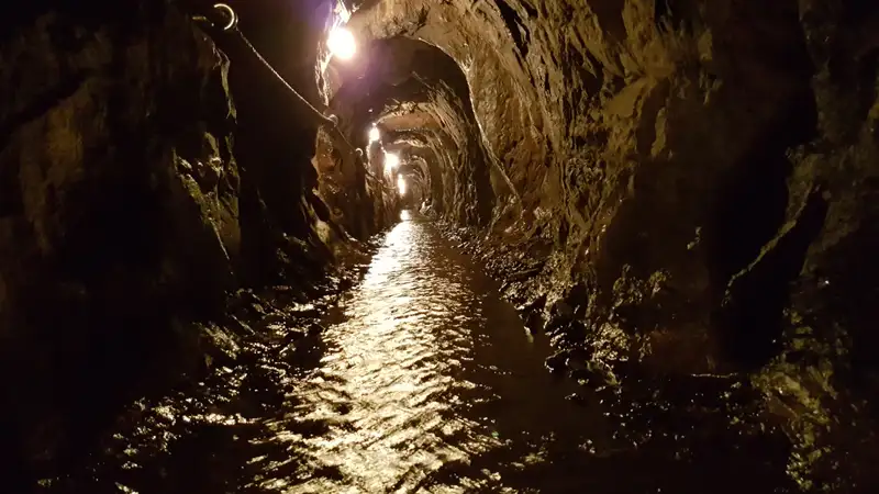 В Алматинской области приостановлена работа шахты на месторождении "Туйык"