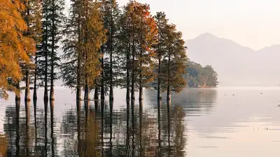 Пруд, фото - Новости Zakon.kz от 13.03.2024 05:44