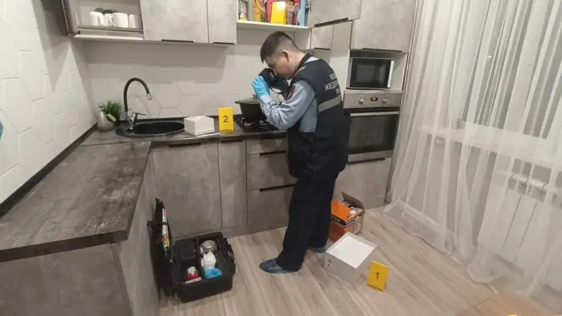 Криминалисты вычислили воров, похитивших 100 миллионов тенге у бабушки в СКО