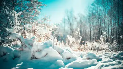 Когда в Казахстане ожидается потепление, фото - Новости Zakon.kz от 13.03.2024 12:40