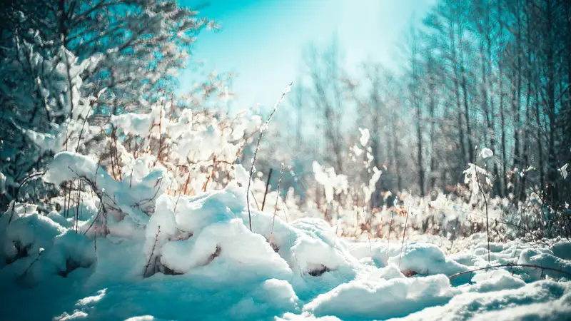 Когда в Казахстане ожидается потепление
