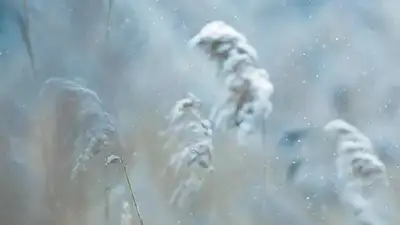 Лишь в одном городе РК обещают неблагоприятные метеоусловия, фото - Новости Zakon.kz от 15.03.2024 02:19