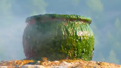 В Анголе 50 человек умерли, выпив жидкость для проверки на колдовство, фото - Новости Zakon.kz от 15.03.2024 00:30