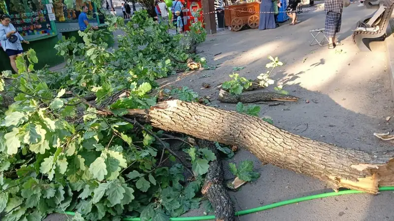 Что происходит в Центральном парке имени Горького в Алматы, фото - Новости Zakon.kz от 15.03.2024 18:30