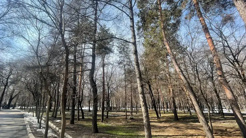 Что происходит в Центральном парке имени Горького в Алматы, фото - Новости Zakon.kz от 15.03.2024 18:30