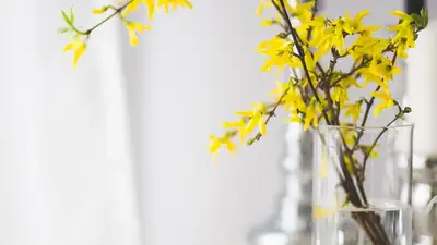 Цветы, фото - Новости Zakon.kz от 16.03.2024 05:59