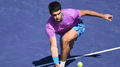 Теннис АТП Нашествие пчел, фото - Новости Zakon.kz от 15.03.2024 10:46