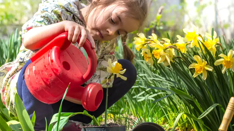 Подготовка к сезону посадки: рекомендации садоводам
