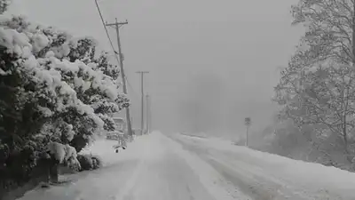 В Алматинской области трех человек спасли из снежного плена, фото - Новости Zakon.kz от 15.03.2024 06:01