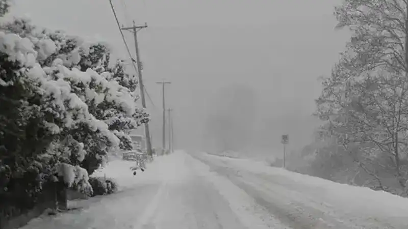 В Алматинской области трех человек спасли из снежного плена