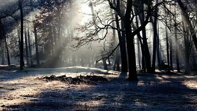 штормовое предупреждение, фото - Новости Zakon.kz от 15.03.2024 20:02