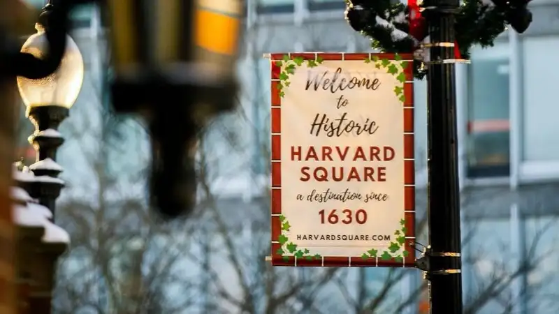 Исследовательницу честности Гарвардской школы бизнеса уличили в обмане