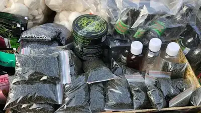 Поручения Токаева в действии: в МВД взялись за любителей насвая , фото - Новости Zakon.kz от 17.03.2024 20:20