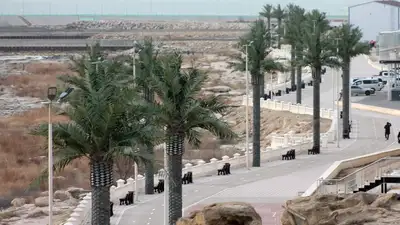 Искусственные пальмы &quot;завяли&quot; на набережной Актау, фото - Новости Zakon.kz от 18.03.2024 00:19