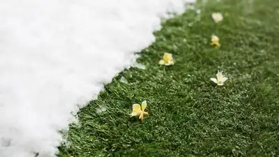 начало весны, фото - Новости Zakon.kz от 17.03.2024 15:32