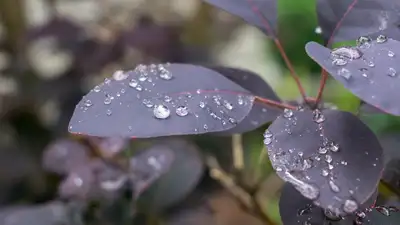 , фото - Новости Zakon.kz от 17.03.2024 10:55