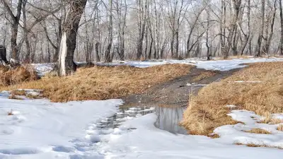 Талые воды чуть не затопили республиканскую трассу в Актюбинской области 