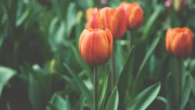 Появился трехдневный прогноз погоды в Астане, Алматы и Шымкенте, фото - Новости Zakon.kz от 18.03.2024 16:31