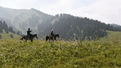 В Казахстане инспекторов по охране животного мира оснастят специальными средствами защиты, фото - Новости Zakon.kz от 18.03.2024 16:09