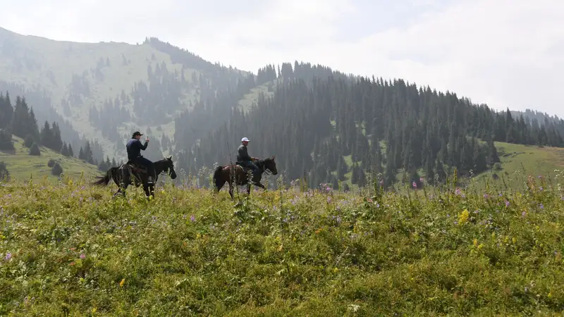 Специальными средствами защиты оснастят инспекторов по охране животного мира