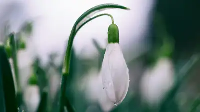 Ливень, гроза и тепло до +20°С ожидаются в Казахстане: прогноз погоды на 20 марта, фото - Новости Zakon.kz от 19.03.2024 18:53