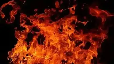 Огнеборцы ликвидировали очередной пожар в частном доме в Алтае, фото - Новости Zakon.kz от 19.03.2024 08:47