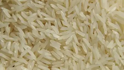Рис, экспорт, Кызылорда