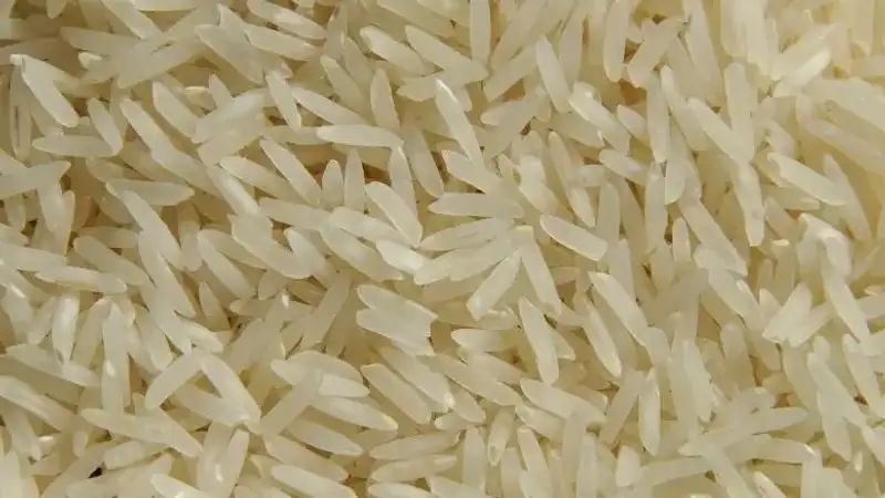 Какую сельхозпродукцию отправляют на экспорт кызылординские аграрии