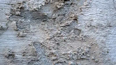 Грязевой поток сошел с гор в Алматинской области: без воды остались жители села Каргалы, фото - Новости Zakon.kz от 21.03.2024 22:38