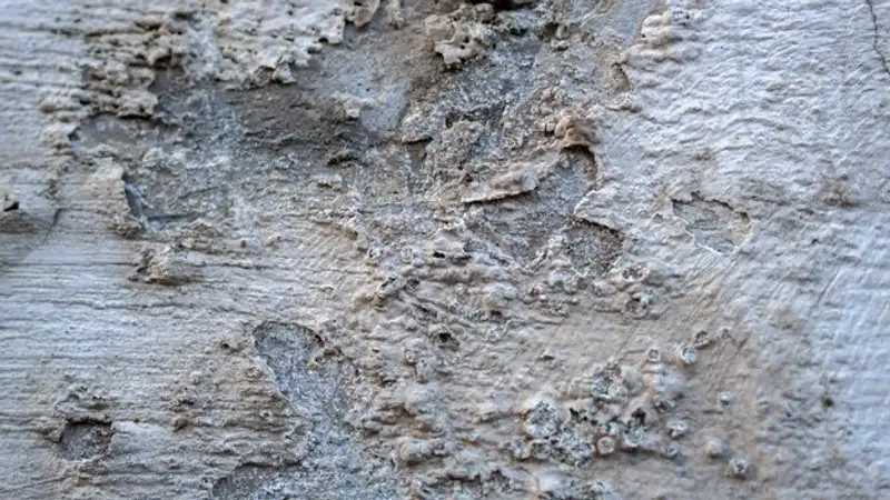 Грязевой поток сошел с гор в Алматинской области: без воды остались жители села Каргалы