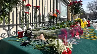цветы, фото - Новости Zakon.kz от 23.03.2024 13:25