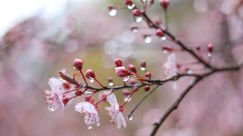 Грозы и тепло до 22 градусов: прогноз погоды в Алматы на неделю