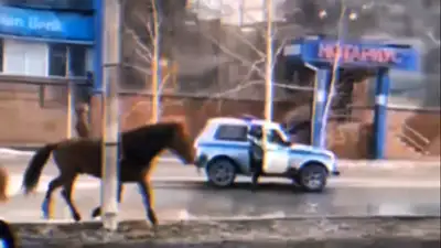 лошадь гуляла по городу, фото - Новости Zakon.kz от 24.03.2024 01:18