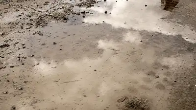 грунт, Алматинская область, переувлажнение почвы, фото - Новости Zakon.kz от 23.03.2024 11:25