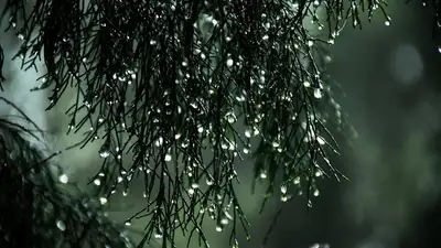 , фото - Новости Zakon.kz от 24.03.2024 16:11