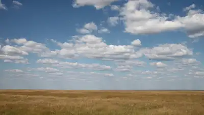 Природа , фото - Новости Zakon.kz от 25.03.2024 14:50