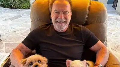 Арнольд Шварценеггер перенес операцию на сердце , фото - Новости Zakon.kz от 26.03.2024 00:12