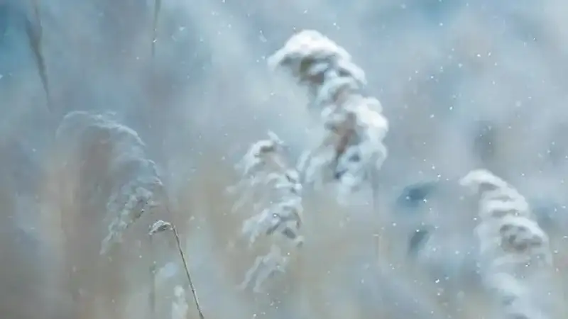 Неблагоприятные метеоусловия обещают синоптики 26 марта в трех городах РК