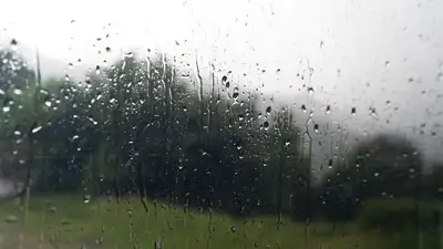 дождь, фото - Новости Zakon.kz от 25.03.2024 15:54